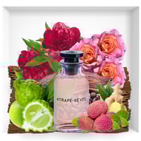 LOUIS VUITTON ATTRAPES-REVES (TYPE)