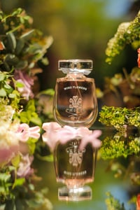 CREED WIND FLOWERS (TYPE)