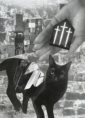 Image of 𝔎𝔫𝔦𝔤𝔥𝔱 𝔬𝔣 𝔖𝔴𝔬𝔯𝔡𝔰