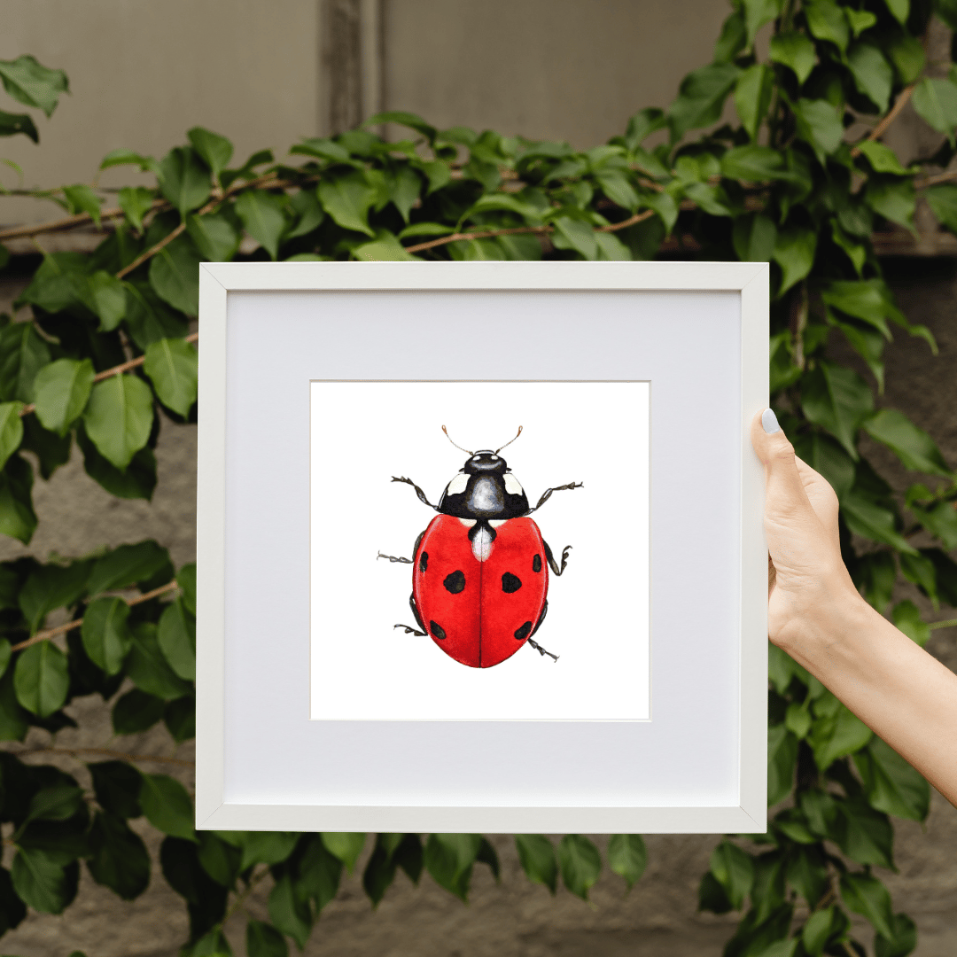 Image of Ladybug Watercolor Illustration PRINT 