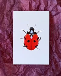 Image 5 of Ladybug Watercolor Illustration PRINT 