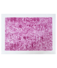 TOMMY CARMAN 'STUDY B'