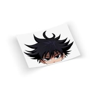 Sea Urchin Head