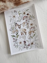 Life Illustration Print