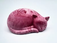 Image 2 of Colourful Sleepy Cats  