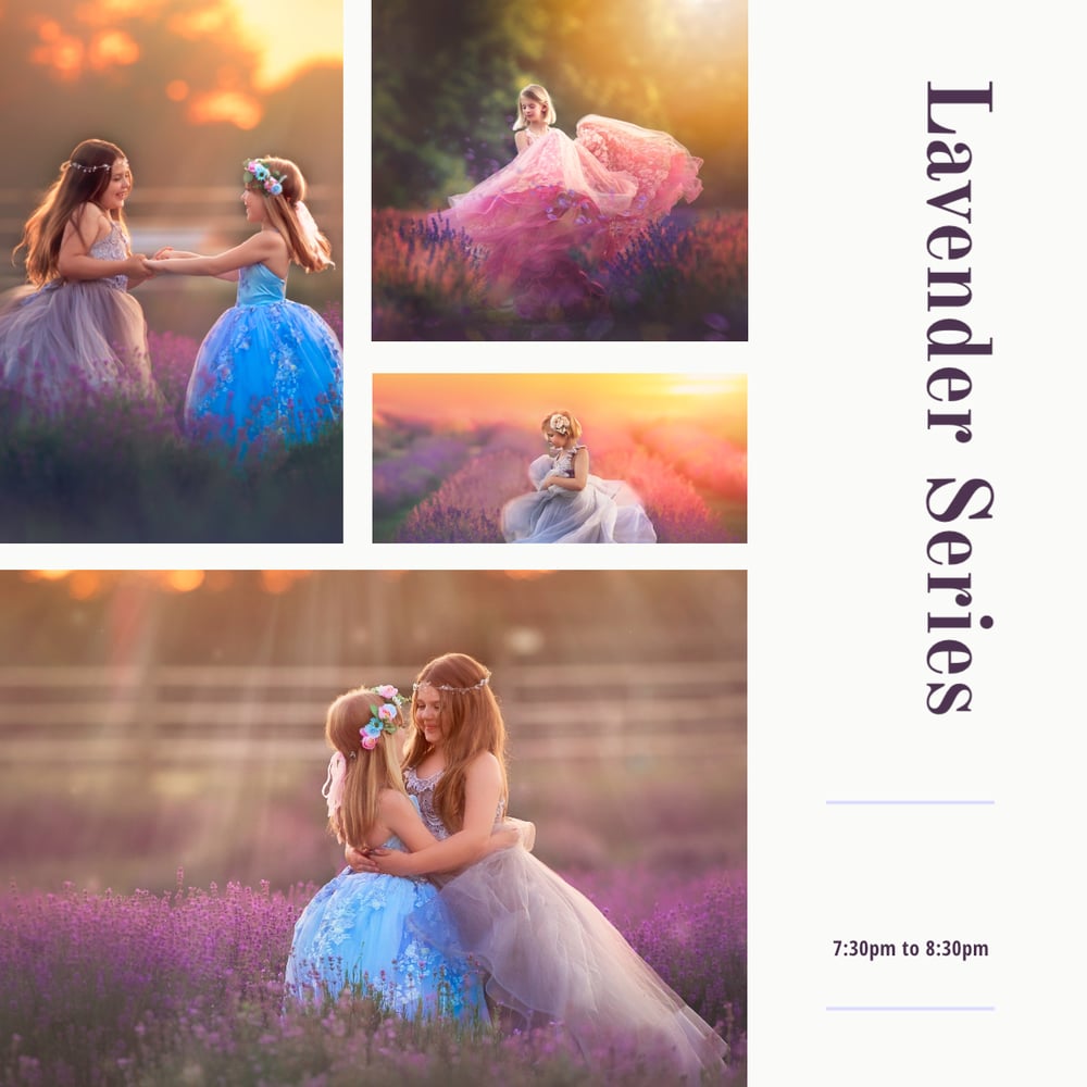 Image of June 27th New Location! Lavender Farm Sessions $325 SUNSET Session