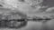 Image of Florida Everglades (#1), Black & White, 2022