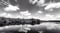 Image of Six Mile Cypress Slough Preserve FL (#4), Black & White, 2022