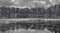 Image of Green Swamp Borrow Pit NC (#1), Black & White, 2023