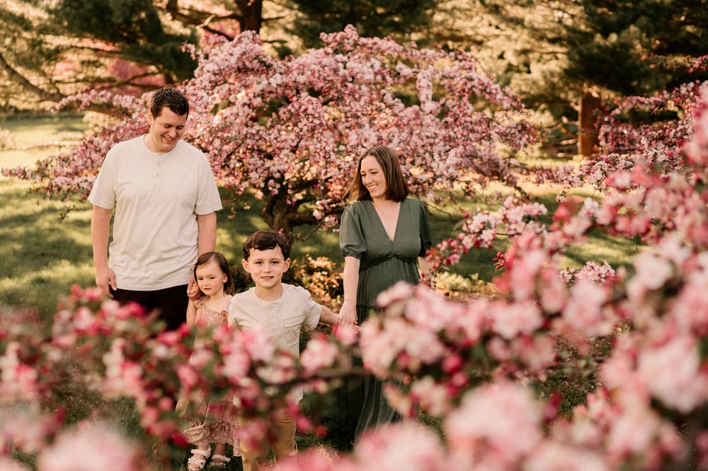 Image of Bloom Full Family Session - Outdoors-  May 2025 - $890