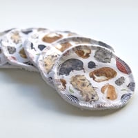 Image 1 of re-usable wipes - Guinea pig