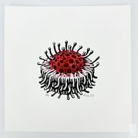 Image 2 of Limited Edition: Robert (Crimson)