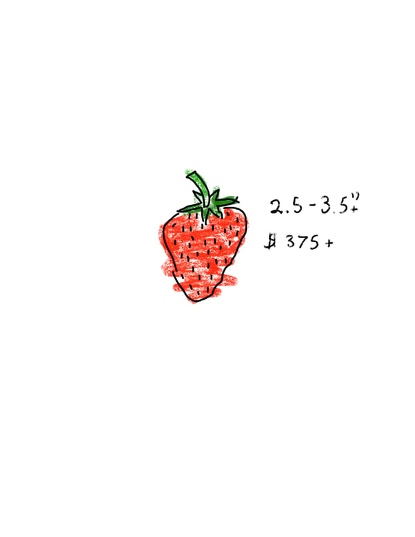 Image of Crayon strawberry 