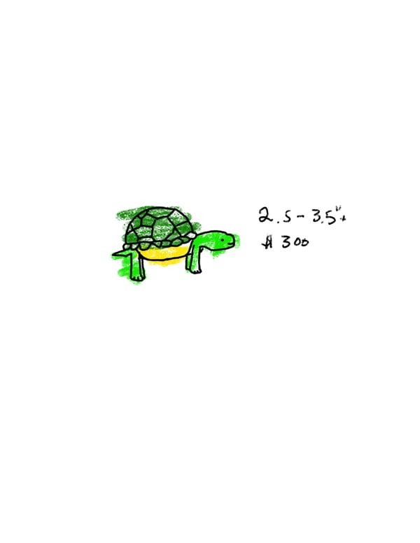 Image of  Crayon turtle 
