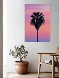 Image 3 of PINK PALM