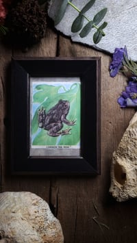 Image 5 of Vintage Tree Frog Frame