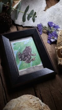 Image 2 of Vintage Tree Frog Frame