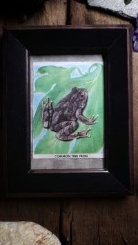 Image 3 of Vintage Tree Frog Frame