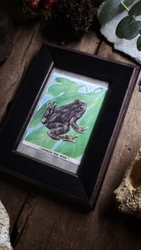 Image 4 of Vintage Tree Frog Frame