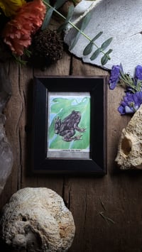 Image 1 of Vintage Tree Frog Frame