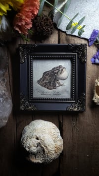 Image 1 of Vintage Toad Frame