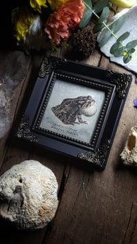 Image 5 of Vintage Toad Frame