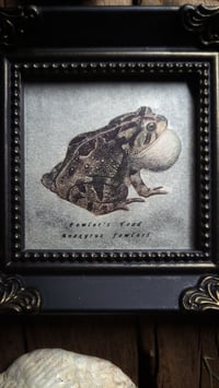 Image 4 of Vintage Toad Frame