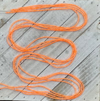 Citrus 