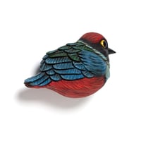 Image 3 of Mini Bird: Sula Pitta by Calvin Ma