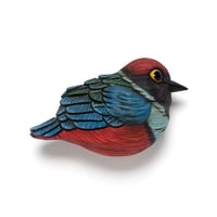 Image 1 of Mini Bird: Sula Pitta by Calvin Ma