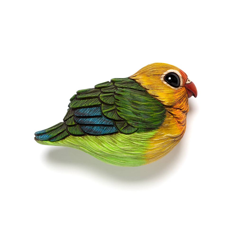 Image of Mini Bird: Fischer's Loverbird by Calvin Ma 