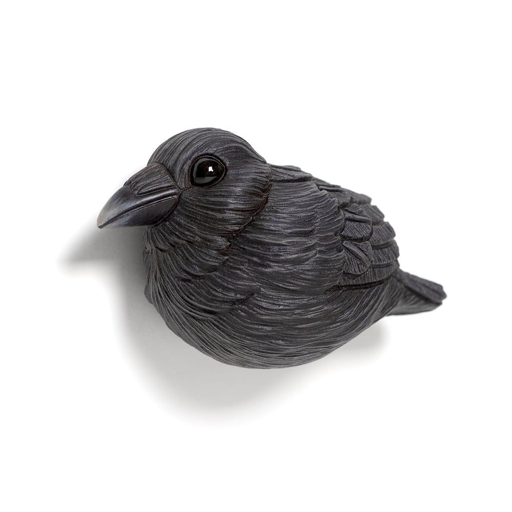Image of Mini Bird: Raven  by Calvin Ma 