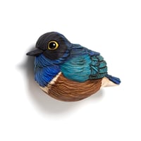 Image 2 of Mini Bird: Superb Starling by Calvin Ma 