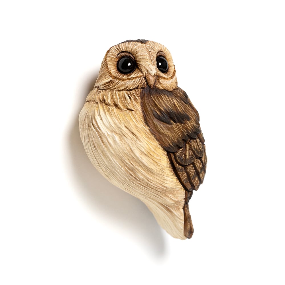 Image of Mini Bird: Barn Owl by Calvin Ma 