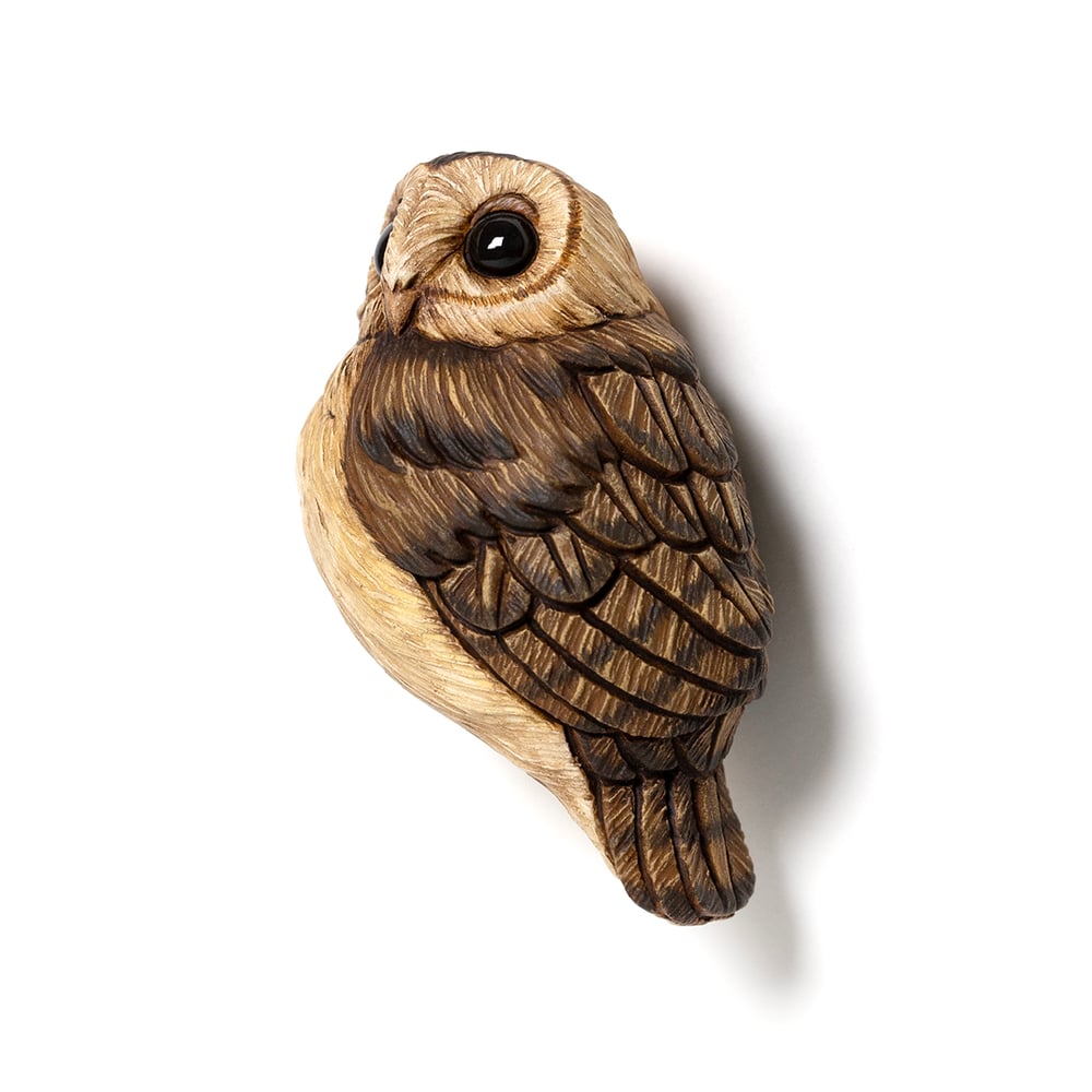 Image of Mini Bird: Barn Owl by Calvin Ma 