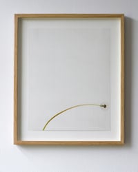 Image 1 of Dandelion - 5979
