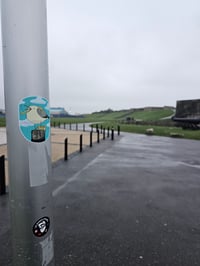 Image 2 of Chippie Gull Sticker