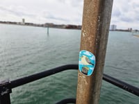 Image 5 of Chippie Gull Sticker