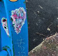 Image 2 of Possum Paradox 
