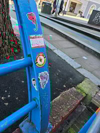 Image 4 of Possum Paradox 