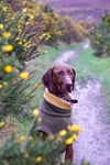 Tankie Fleece Rollneck Jumper 