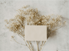 ___ Gift card ___