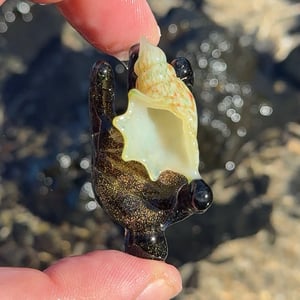 Image of Dichro Shell Hunter
