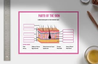 Wipeable Revision - Anatomy of the Skin Revision Poster | PJ VN ...