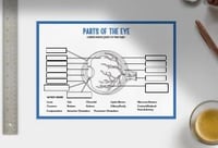 Wipeable Revision - Anatomy of the Eye Revision Poster