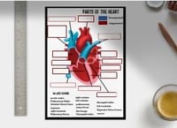 Wipeable Revision - Anatomy of the Heart Revision Poster