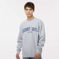 Image 2 of Sunny Days // Grey