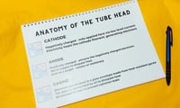 Image 2 of Veterinary Radiography Guide - Xray Positioning & Top Tips! RVN/SVN/VCA Revision Help/Practical 