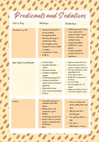 Premedicant & Sedation Drugs Advantages/Disadvantages Digital Poster - Veterinary Nurse, Student Vet