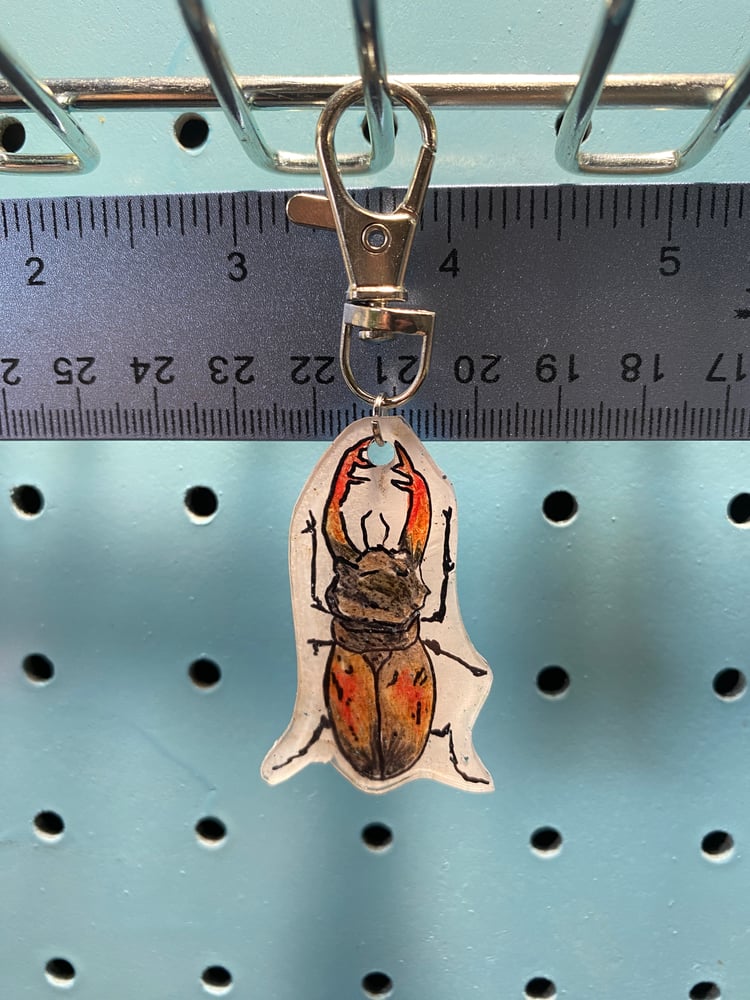Image of Stag Beetle Keychain